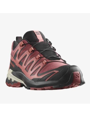 Salomon XA Pro 3D V9 GTX W Cohide/Black