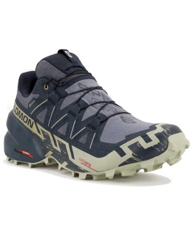 DEPORTIVO SPEEDCROSS 6 GTX Grisai/Carbon/Tea