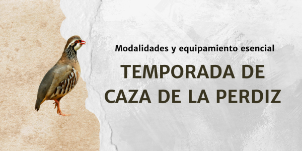 Temporada de caza de la perdiz: Modalidades y equipamiento esencial