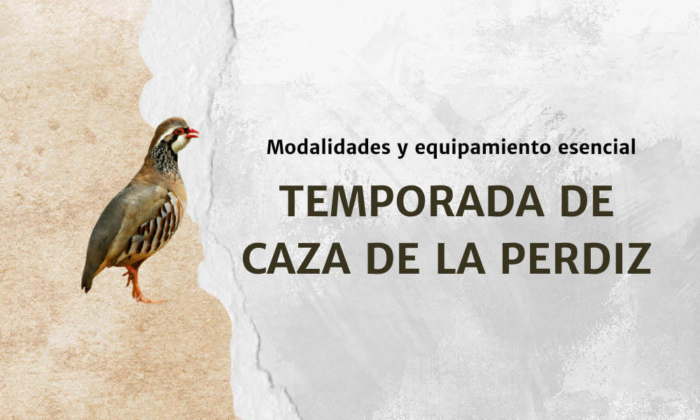 Temporada de caza de la perdiz: Modalidades y equipamiento esencial