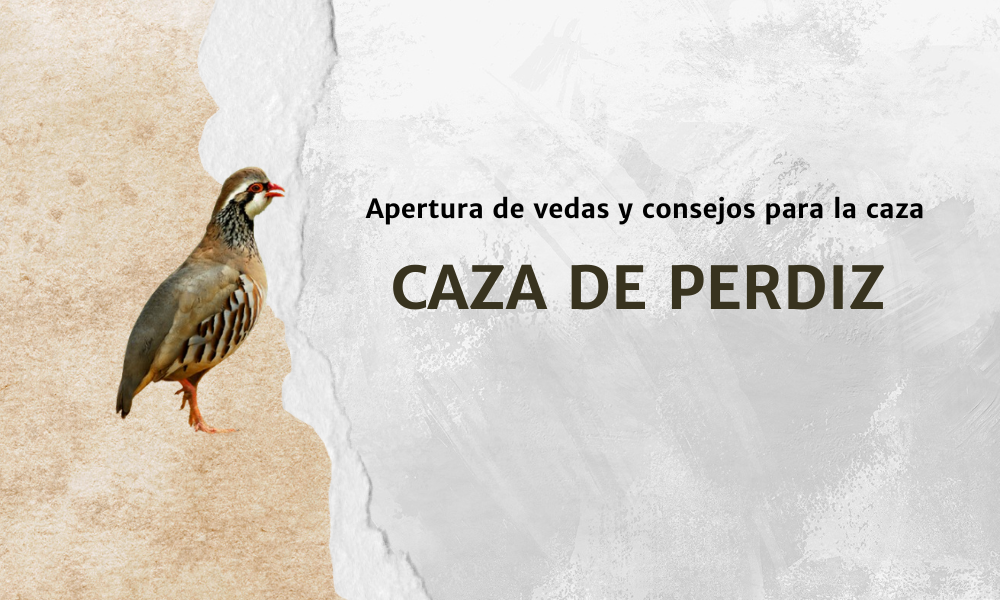 Caza de perdiz: Apertura de vedas y consejos para la caza